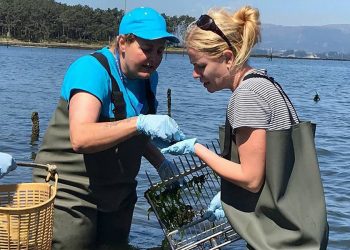 Las 8 reivindicaciones de las mujeres del campo y del mar en el 8M